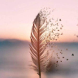 Meet your Posher, Sonia